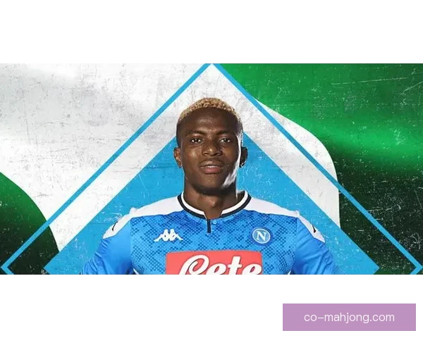 2025夏季转会市场动态 里尔引进意甲锋线新星加强进攻实力