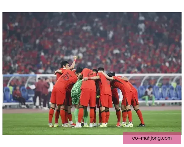 中国男足迎战印尼18强赛门票一售而空球迷热情高涨